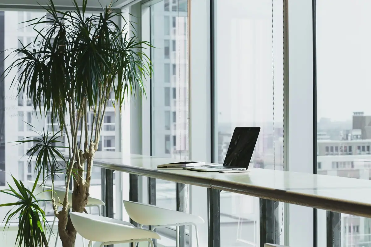 The Binadit office in Rotterdam